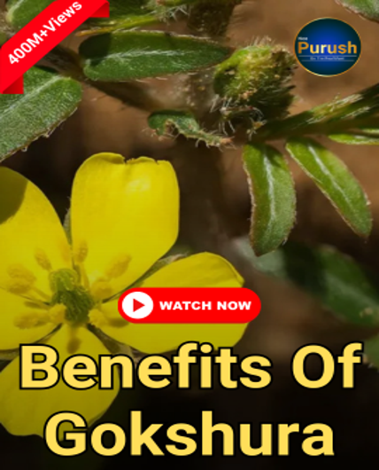movie-card